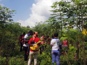 Naiset saivat oikeudet kassavan viljelyyn Sierra Leonessa