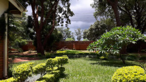 Vehreä puutarhassa vihreää ruohoa ja pensaita ja korkeita puita. Pihan takareunalla on muutaman metrin korkuinen tiilimuuri.